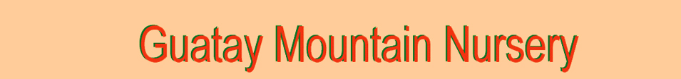Banner for Guatay Nursery