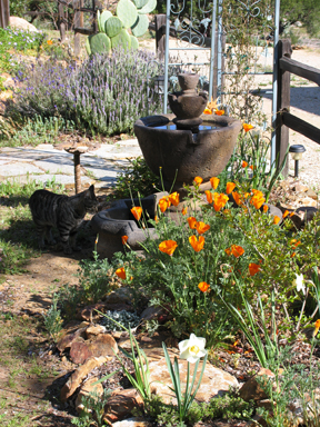 A lovely spot on the property